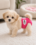 Petoria Reusable Full Dog Diaper ⭐